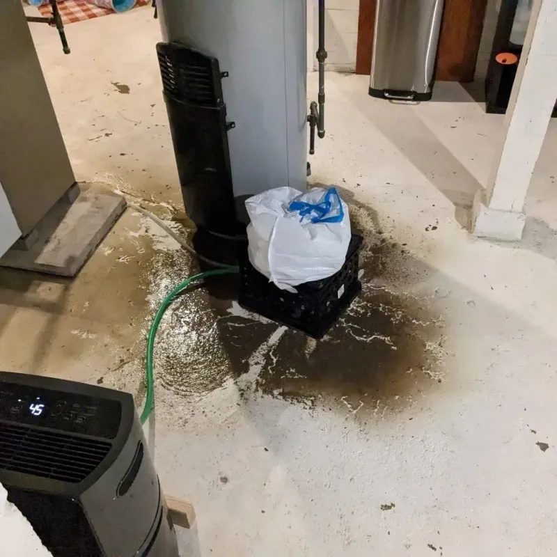 Sewage Backup Cleanup Service in Mount Ephraim, NJ